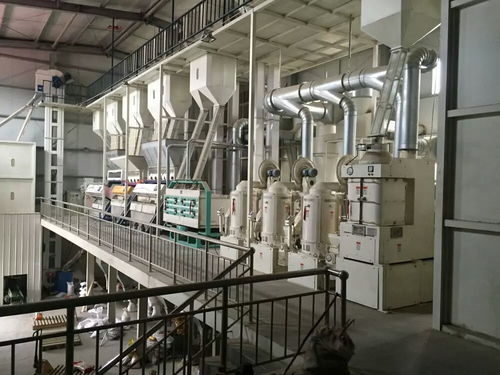 先進(jìn)成套玉米加工設(shè)備 網(wǎng)絡(luò)技術(shù)驅(qū)動下的玉米食品多樣化浪潮